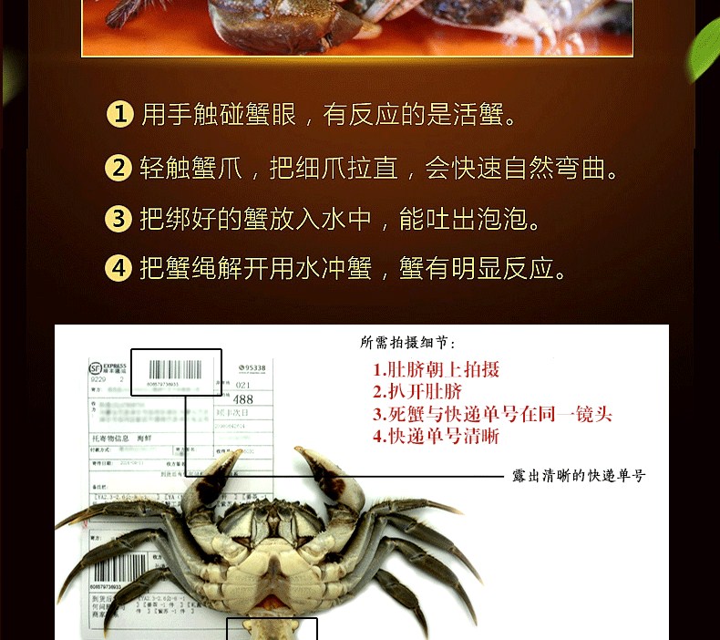 肥王大闸蟹  公蟹3.5-3.2两 母蟹2.5-2.2两 5对10只装包邮(图21)